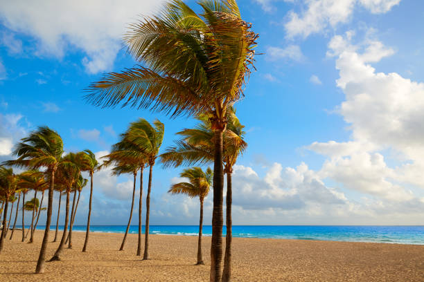istock Fort Lauderdale beach sunrise Florida US 907966402