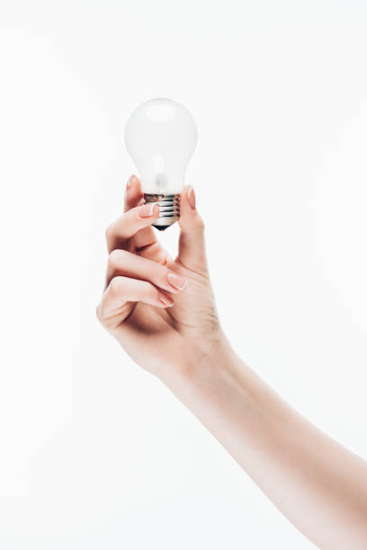 woman holding light bulb isolated on white cropped shot of woman holding light bulb isolated on white animal representation photos stock pictures, royalty-free photos & images