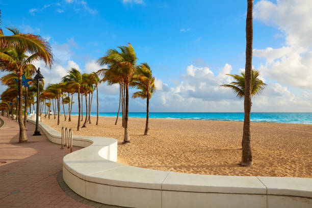 istock Fort Lauderdale beach sunrise Florida US 907966652