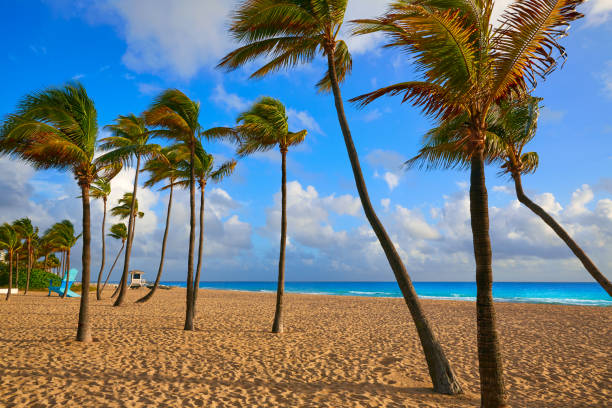 istock Fort Lauderdale beach sunrise Florida US 907966714
