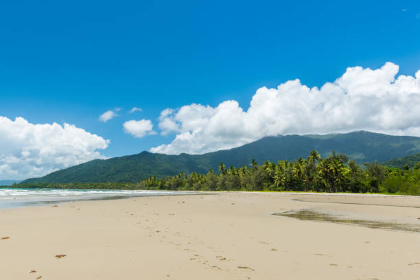 istock Cape Tribulation in Tropical North Queensland, Australia 907966740