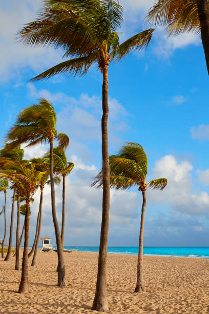 istock Fort Lauderdale beach sunrise Florida US 907966776