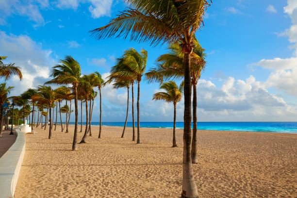istock Fort Lauderdale beach sunrise Florida US 907966844