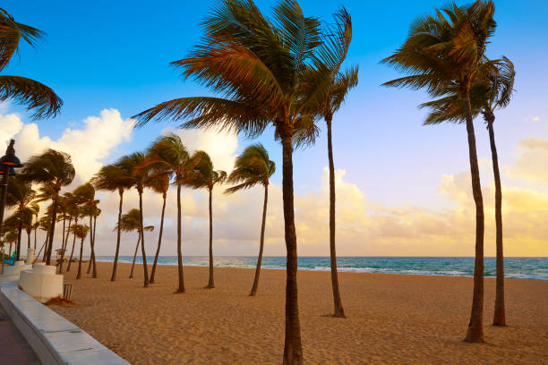 istock Fort Lauderdale beach sunrise Florida US 907967326