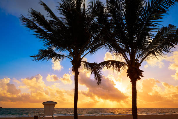 istock Fort Lauderdale beach sunrise Florida US 907967410