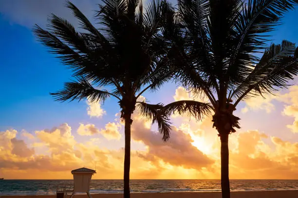 Fort Lauderdale beach morning sunrise in Florida USA palm trees