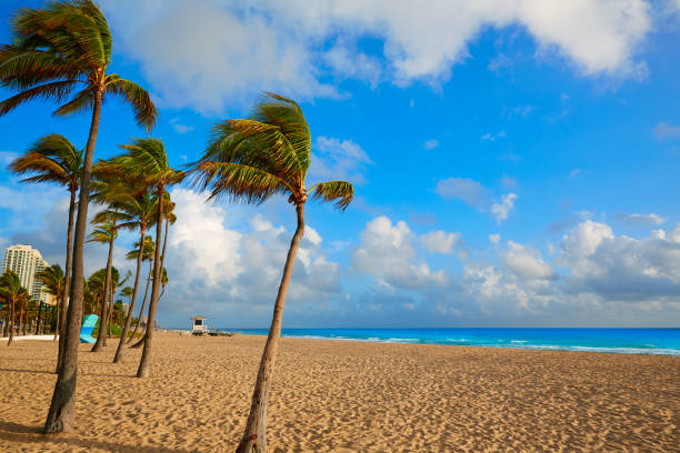 istock Fort Lauderdale beach sunrise Florida US 907967976