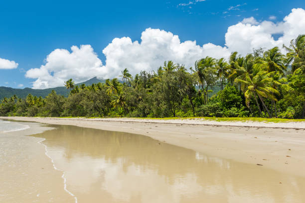 istock Cape Tribulation in Tropical North Queensland, Australia 907968842