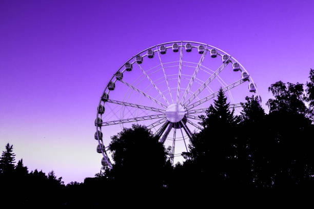 明るい夕日光 (18-3838 年のモダンな色) と木の背景に遊園地の観覧車 - ferris wheel wheel blurred motion amusement park ストックフォトと画像