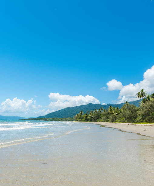 istock Cape Tribulation in Tropical North Queensland, Australia 907969790