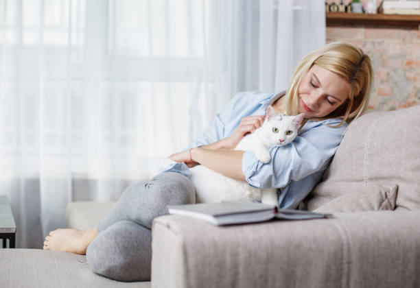 alegre menina abraçando seu gato indoor - divã sofá - fotografias e filmes do acervo