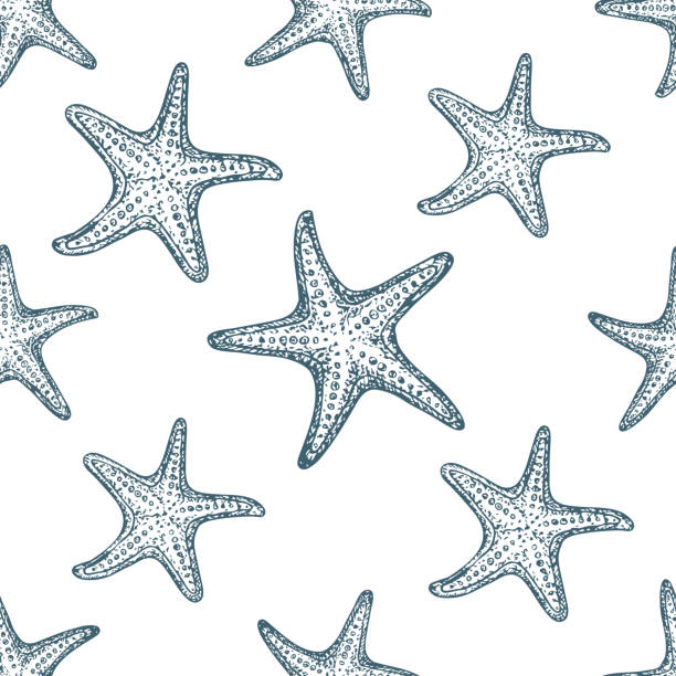 illustrazioni stock, clip art, cartoni animati e icone di tendenza di vacanze estive al mare - starfish