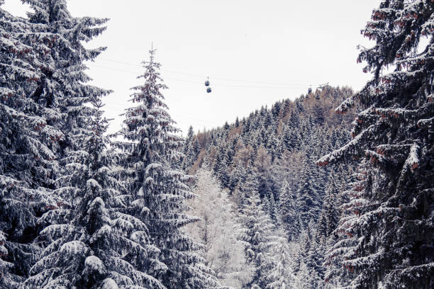 istock Winter mountains and fir trees 907973000