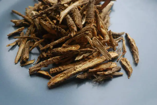 Photo of Fang feng or saposhnikovia divaricata (siler) roots close up look on neutral background.