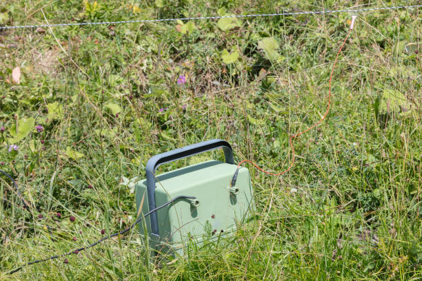istock Green battery powering an electric fence 907984006