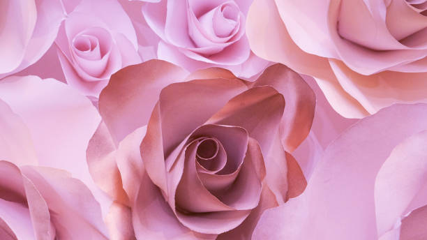 istock roses flower wedding  pink background copy space 907990762
