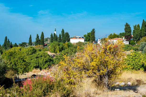istock Ildiri village, Cesme, Izmir 907993014