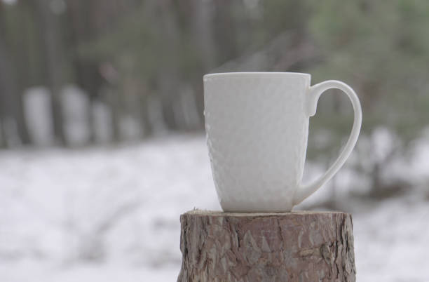 istock White mug stands on a stump in the woods 907995042