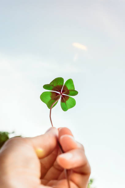 istock Four leaf lucky clover held by hand against sky 907995932