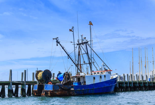 istock Blue and White Fishing Trawler 907998386