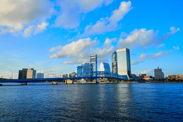 istock Jacksonville skyline evening in florida USA 907998526