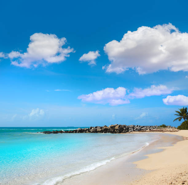 istock Key West beach fort Zachary Taylor Park Florida 908000000