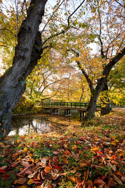 istock autumn at hirosaki park 908000534