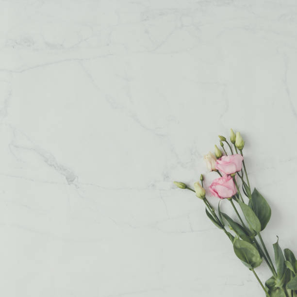 istock Creative natural composition made of flowers on marble background. Flat lay. Love concept. 908001008