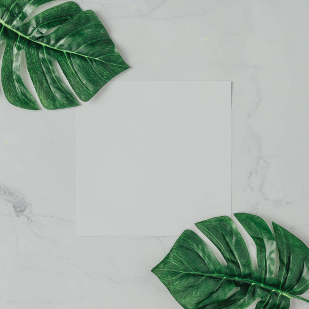 istock Creative natural layout made of tropical leaves on marble background. Flat lay composition. 908001410