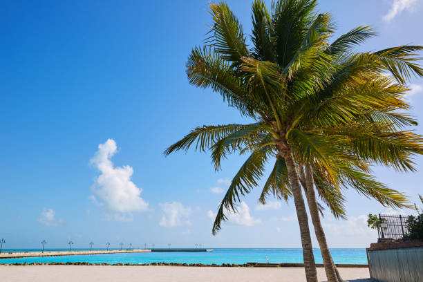 istock Key west florida beach Clearence S Higgs 908001512