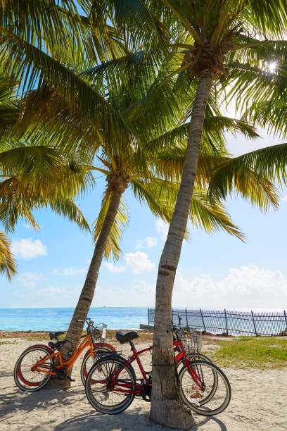istock Key west florida beach Clearence S Higgs 908001532