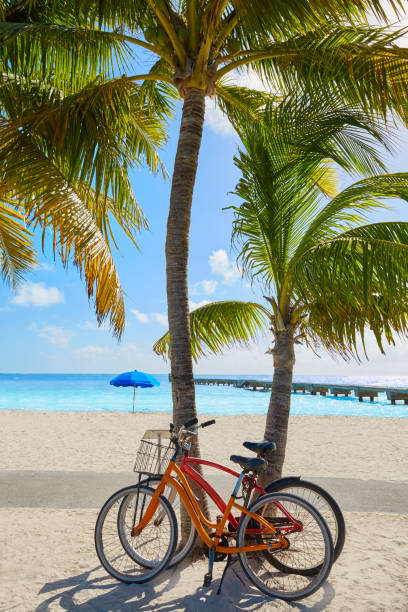 Two young women riding their bicycles along the promenade at the seaside