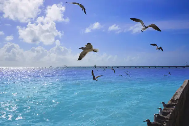 Key west florida beach Clearence S Higgs memorial in USA