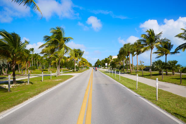 istock Key west florida beach Clearence S Higgs 908002042