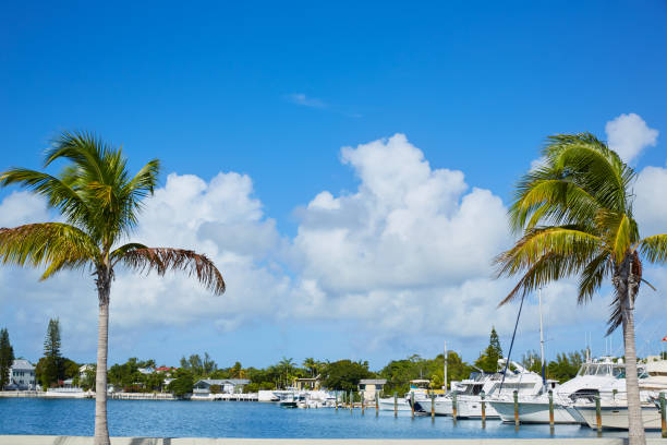 istock Key West Florida marina Garrison Bight Florida 908002274