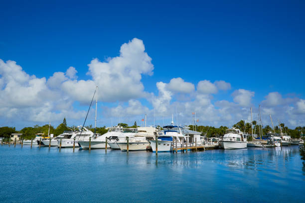istock Key West Florida marina Garrison Bight Florida 908002344