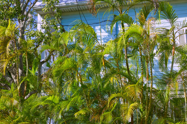 istock Key west street facades Florida US 908003072