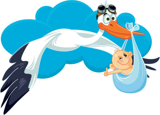 ilustraciones, imágenes clip art, dibujos animados e iconos de stock de cigüeña con bebé invitación tarjeta vector dibujos animados - party newborn baby hospital