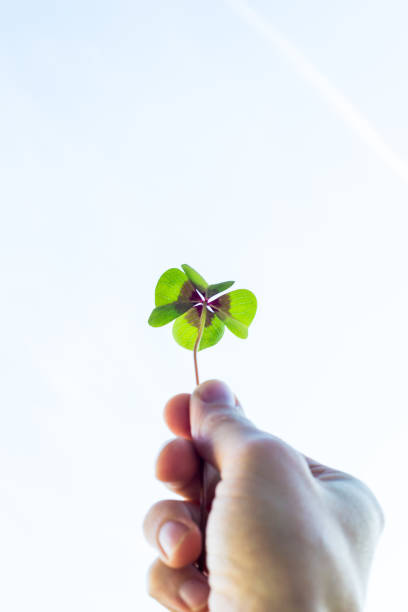 istock Four leaf lucky clover held by hand against sky 908004150