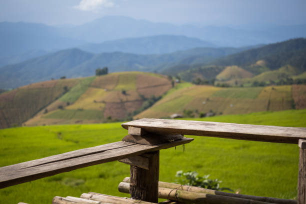 istock wood terrace with rice field 908005086