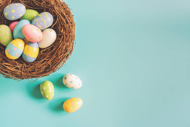 istock Colorful easter eggs in nest on pastel color background with space. 908008656