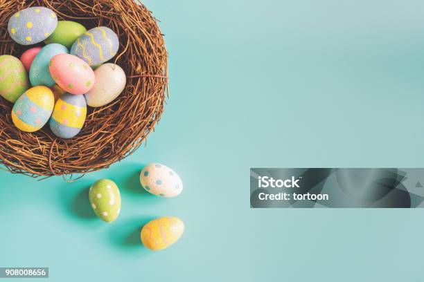 Colorful Easter Eggs In Nest On Pastel Color Background With Space Stock Photo - Download Image Now