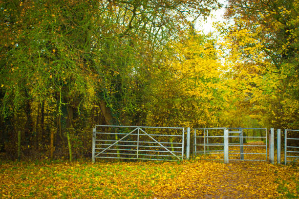 A country park  with tree lined footpaths in an English public park in Huntingdon. Hinchingbrooke free to enter country park.