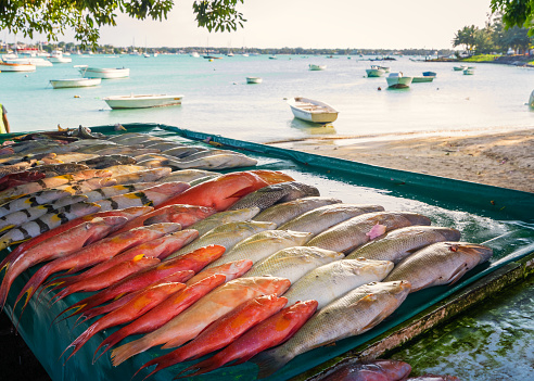 Fresh tropical fish in the market,with background the fishing port.Mauritius island.