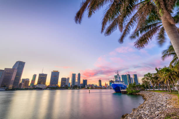 istock Miami, Florida, Coastal Skyline 908017092