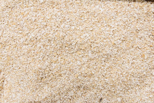 Oat bran. Closeup of grains, background use. Avena Sativa is scientific name of Oat bran. Also known as Aveia or Avena. Closeup of grains, background use. bran stock pictures, royalty-free photos & images