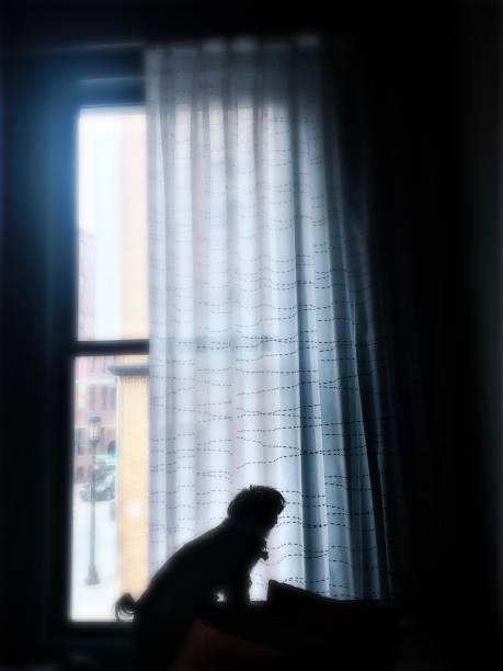 istock Little Dog Silhouette in Window 908021128