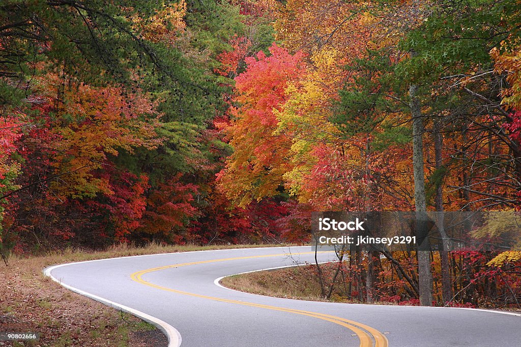 Herbst S-curves - Lizenzfrei Autoreise Stock-Foto