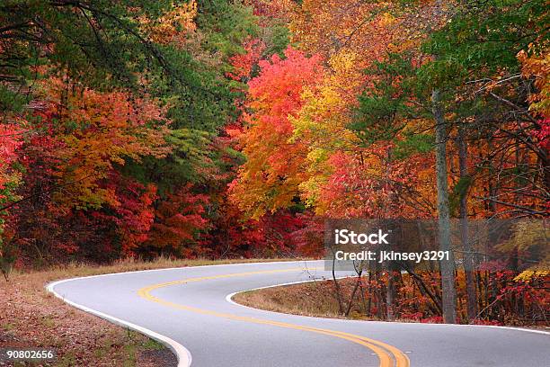 Queda Scurves - Fotografias de stock e mais imagens de Viagem em Estrada - Viagem em Estrada, Outono, Geórgia - Sul dos Estados Unidos