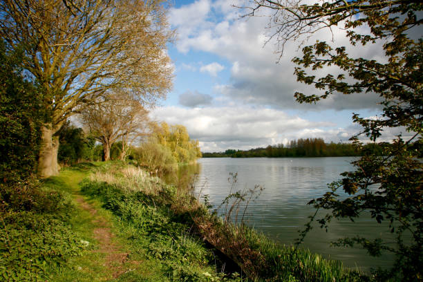 istock Thorpe Abbotts, Suffolk. Homersfield, Norfolk 908027706